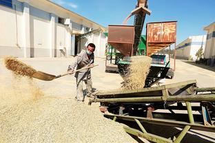 魏晋南北朝以后,小麦为何逐渐取代小米,成为北方最重要的主食?