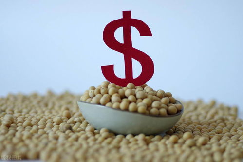 1月8日国际粮价 部分出口国调减粮食产量,食品价格面临不确定性